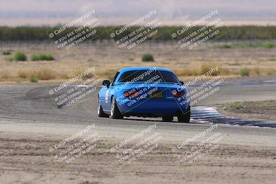 media/Oct-04-2025-OnGrid (Sat) [[44bd565ffa]]/Purple Group/Grapevine/